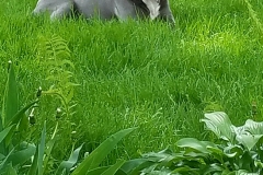 20180518_191150