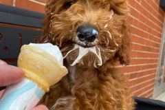 IMG_3190
