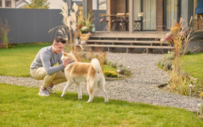 Tips for Designing a Dog-Friendly Home That’s Stylish and Functional